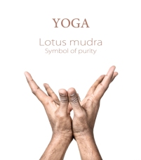Lotus-mudra-7456